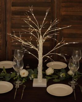 White Lighted Birch Tree with Battery Operated LED Fairy Lights, Rechargeable Warm White Light Up Tree Lamp – 2ft