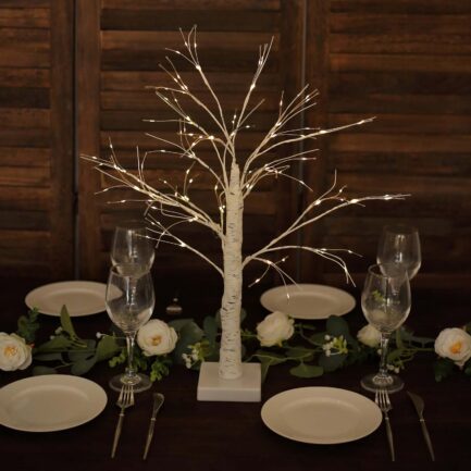 White Lighted Birch Tree with Battery Operated LED Fairy Lights, Rechargeable Warm White Light Up Tree Lamp - 2ft